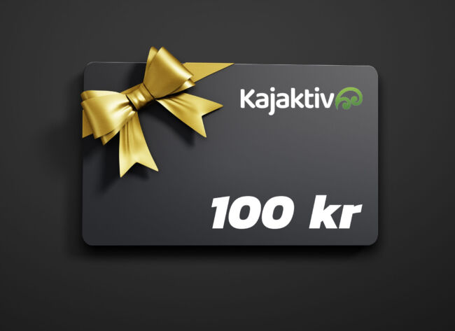 Presentkort: 100 kr - presentkort kajaktiv 100